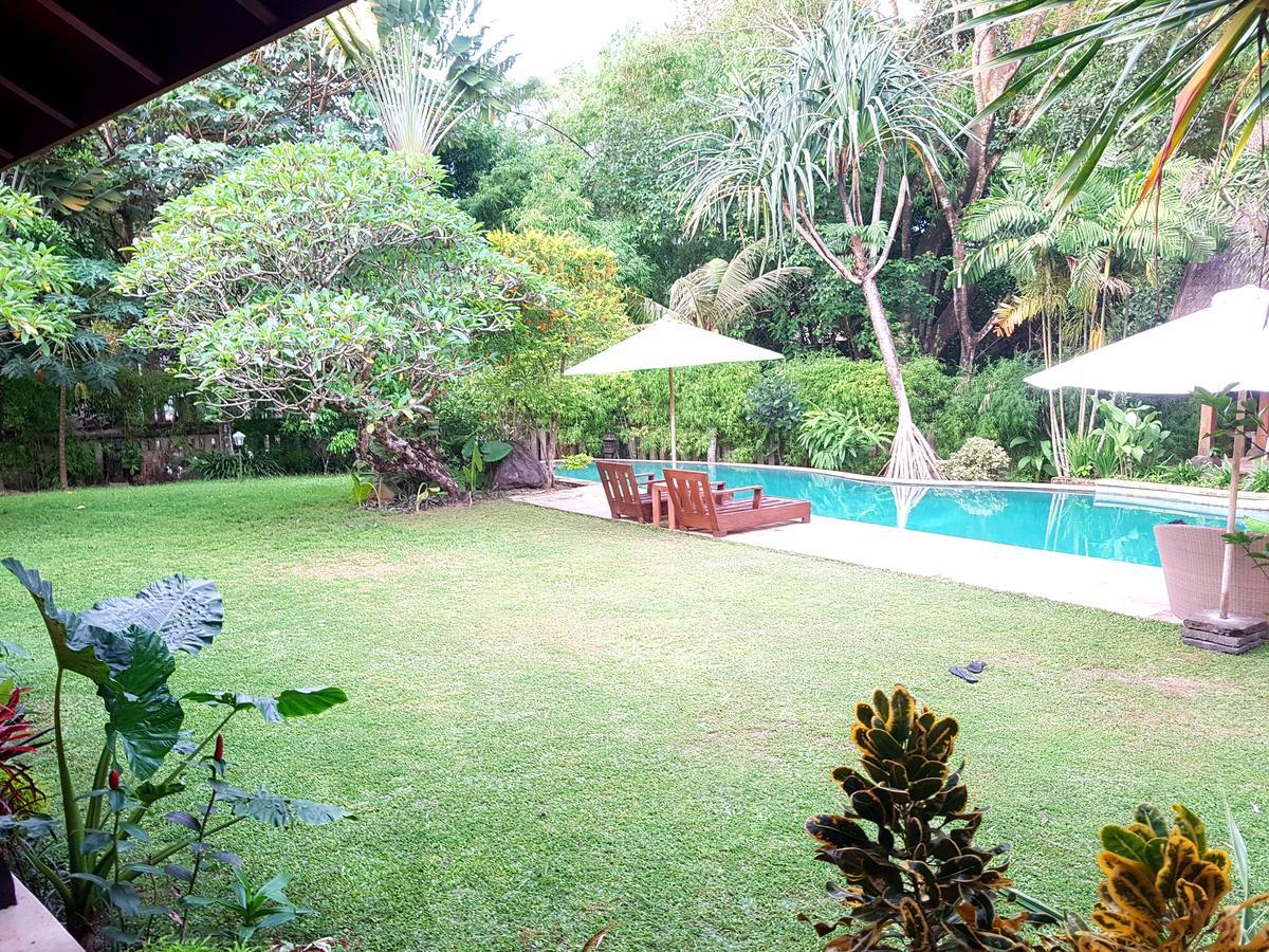 Mirsa * Yogyakarta